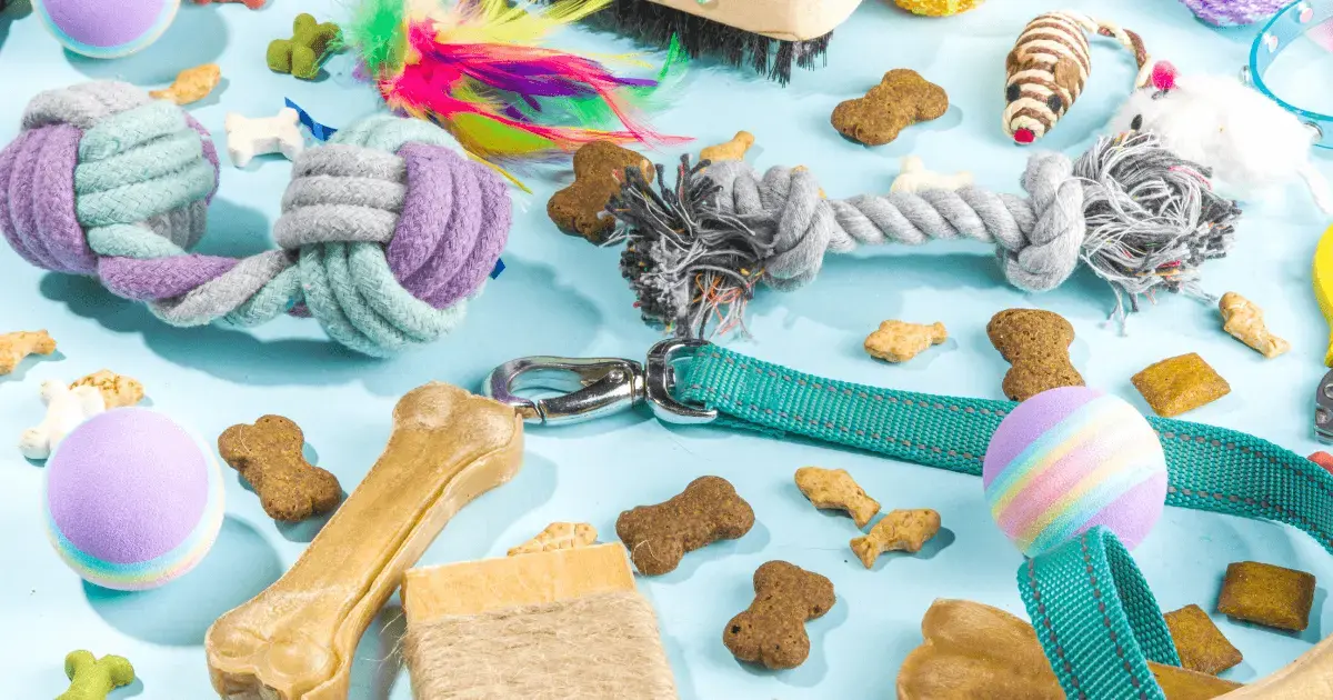 Licensing vs Selling a Product: Meaning, Differences & Examples
